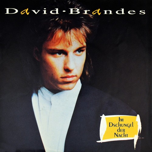 David brandes xanadu im - 7", ex