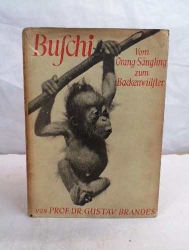 Buschi vom orang säugling - vom, orang-säugling