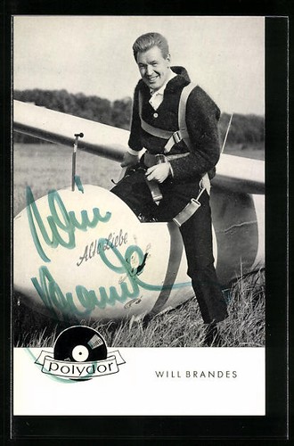 Musicista will brandes - musicista,