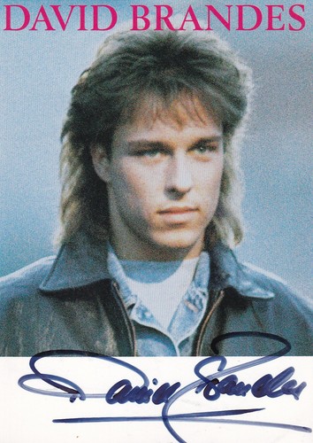Autografo david brandes - autografo,